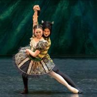 Bring the Family to Cape Town City Ballet's Fantasy-Filled TIN SOLDIER, Beg. Today Video