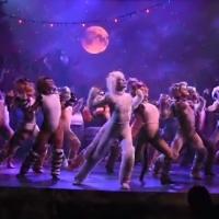 STAGE TUBE: Sneak Peek at Taylor Dayne and More in Highlights of CATS at Merry-Go-Rou Video