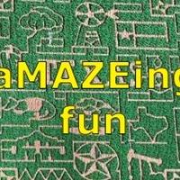 Best Corn Mazes and Fall Festivals Offer Extra Agri-Adventures for Families Video