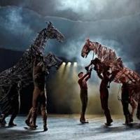 Lightbox to Present THE HORSE AT WAR: 1914-1918, 25 Nov - 1 March 2015 Video
