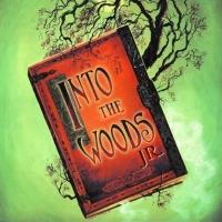 White Plains Performing Arts Center to Present INTO THE WOODS JR, 8/16-17 Video