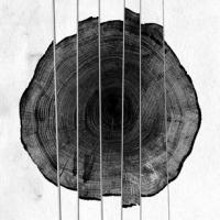 newportFILM & Newport Folk Festival to Host Screening of MUSICWOOD , Aug. 9 & 23