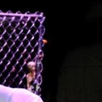 BWW Reviews: TREVOR at Theatre UCF Video