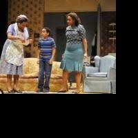 BWW Reviews: PlayMakers Rep's A RAISIN IN THE SUN Brings 1950s Chicago to the Triangl Video