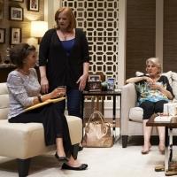 BWW Reviews: OTHER DESERT CITIES Sizzles on Opening Night