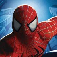 SPIDER-MAN Stuntman Files $6M Law Suit Over Injuries Video