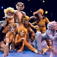 Beef & Boards Dinner Theatre to Present CATS, 2/6-3/30 Video