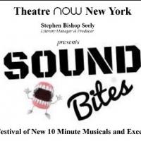 Theatre Now New York Accepting Submissions for SOUND BITES Festival Video
