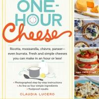 BWW REVIEWS: ONE HOUR CHEESE by Claudia Lucero