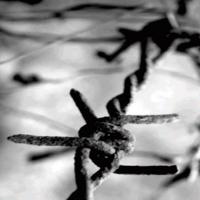 The Bakehouse Theatre's EAST OF BERLIN Begins Tonight