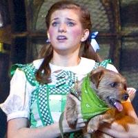 BWW Reviews: Webber's Touring WIZARD OF OZ Touches Down in L.A. Video