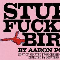 Sideshow Theatre's STUPID FU***** BIRD to Play Victory Gardens, 8/16-9/21 Video