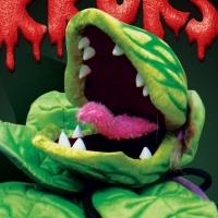 Theatre on the Bay to Stage LITTLE SHOP OF HORRORS from April 2015 Video