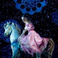 The Academy of Nevada Ballet Hosts Open House Today