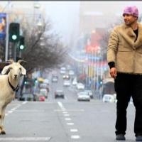 Gary the Goat and Jimbo Bazoobi to Perform at the Rhino Room, July 4