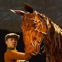 BWW Reviews: WAR HORSE at The Paramount Goes Beyond Theater and into Art Video