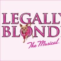 Haley Jane Schafer, Greg Foster & More to Star in Big Noise Theatre's LEGALLY BLONDE Video