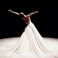 Jessica Lang Dance to Open Performing Arts' 2013-14 Season, 9/20 Video