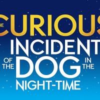 Graham Butler to Star in 'CURIOUS INCIDENT' After Move to Gielgud Theatre, June 2014 Video