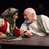 BWW Reviews: Stages' Provocative THE LANGUAGE ARCHIVE is Flawed But Fascinating