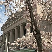 Brooklyn Museum to Offer Free Admission to Younger Visitors Video