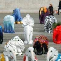 The Resorts of Dana Point Hosts Art Elite During Elephant Parade Today Video