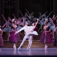 BWW Reviews: American Ballet Theatre's Cutting-edge CINDERELLA Video