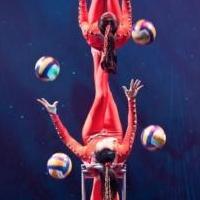 Golden Dragon Acrobats to Bring CIRQUE ZIVA to Fox Theatre, 4/26 Video