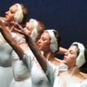 American Repertory Ballet Presents BEHIND THE CURTAIN: INSIDE SWAN LAKE Today, 11/9 Video