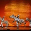 BWW Reviews: THE LION KING Roars Into Austin Video