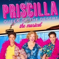 PRISCILLA QUEEN OF THE DESERT Comes to The Academy of Music, Feb.26-Mar. 3 Video