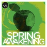 BWW Reviews: Kensington's SPRING AWAKENING Deserves 'A' For Effort Video
