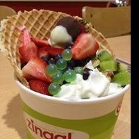 Restaurant Veterans Open New Zinga! Frozen Yogurt in Spotsylvania Video