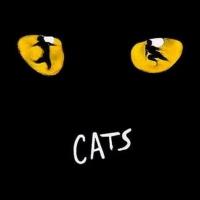 CATS to Claw Into the London Palladium This Winter Video