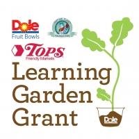 DOLE Fruit Bowls, Captain Planet Foundation and Tops Friendly Markets Join Forces to 