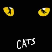 Atlanta Lyric Theatre Presents CATS, Now thru 8/24 Video