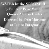 Teatro Paraguas to Present WATER BY THE SPOONFUL, 3/6-16