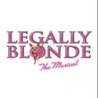 JCC's Center Stage Presents LEGALLY BLONDE: THE MUSICAL, Now thru 7/21
