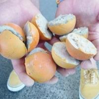 Photo Flash: Artists Install I-95 SOUTH Pieces at ArtCenter/South Florida