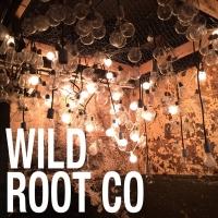 Wild Root Company's Interactive Arena Stage Workshop Begins Today
