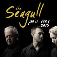 BWW Review: Crow's Theatre THE SEAGULL