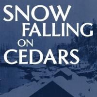 SNOW FALLING ON CEDARS Plays BPA, Now thru 3/29 Video
