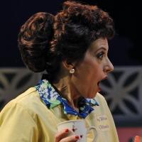 BWW Review: Plotting with the MERRY WIVES OF WINDSOR at Orlando Shakes