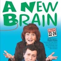 Anna McNeely Stars in Lyric Theatre and Curtain Call Productions' A NEW BRAIN, Now th Video