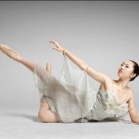 Hyde Park School of Dance to Present THE NIGHTINGALE, 3/15-16 Video