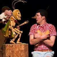 Help Send South Australia's Big Nose to the Big Apple