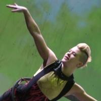 Photo Flash: Elizabeth Streb and More Take Movement to the Extreme in BORN TO FLY Video