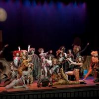 BWW Reviews: CATS at Ocean Professional Theatre Company Video