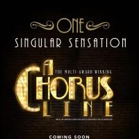 Nice Swan Theatre to Stage A CHORUS LINE in May; Seeks Actors Video