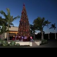 The Ritz-Carlton, Laguna Niguel Inspires Guests for the Holiday Season